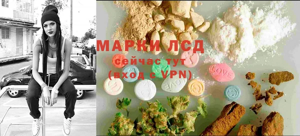 ГАЛЛЮЦИНОГЕННЫЕ ГРИБЫ Абаза