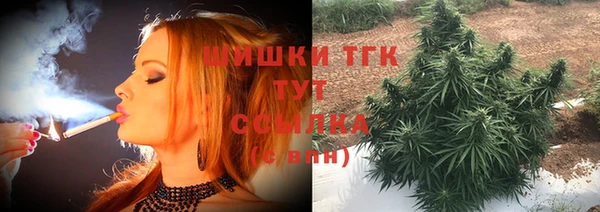 ГАЛЛЮЦИНОГЕННЫЕ ГРИБЫ Абаза