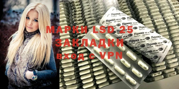 ГАЛЛЮЦИНОГЕННЫЕ ГРИБЫ Абаза