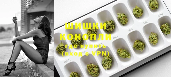 ГАЛЛЮЦИНОГЕННЫЕ ГРИБЫ Абаза