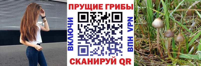 Псилоцибиновые грибы MAGIC MUSHROOMS  Курлово 